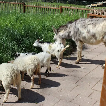 Prázdninový dům De Eewijkse Hoeve