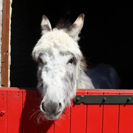 Holiday home De Eewijkse Hoeve *