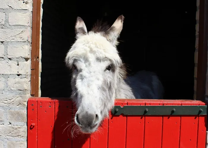 Ferienhaus De Eewijkse Hoeve *