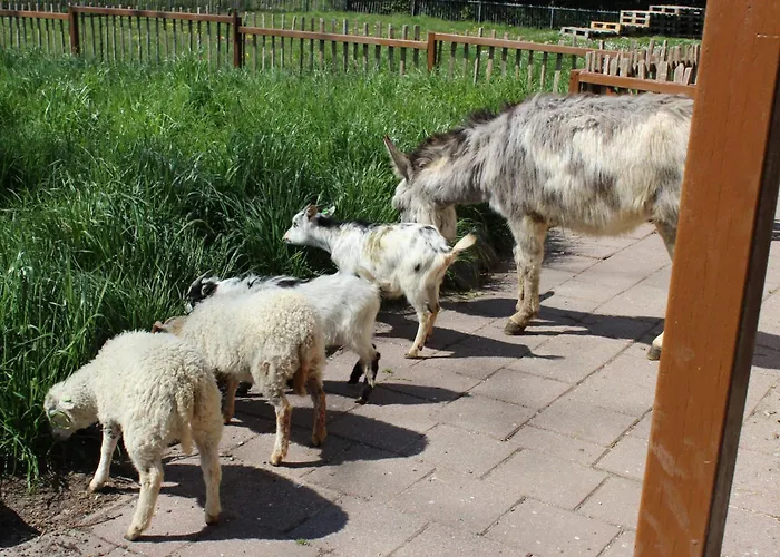 Ferienhaus De Eewijkse Hoeve